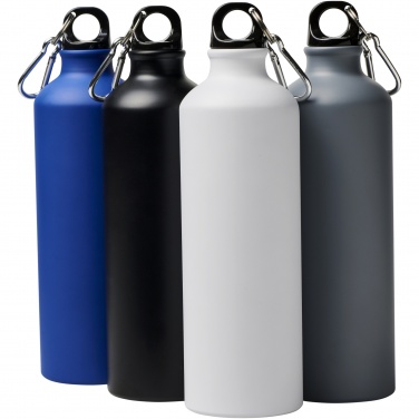 Logo trade promotional merchandise image of: Oregon 770 ml matte water bottle with carabiner