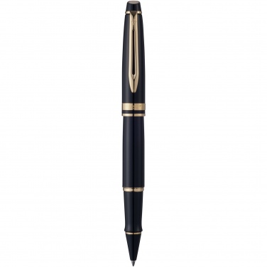 Logotrade promotional item image of: Waterman Expert rollerball pen