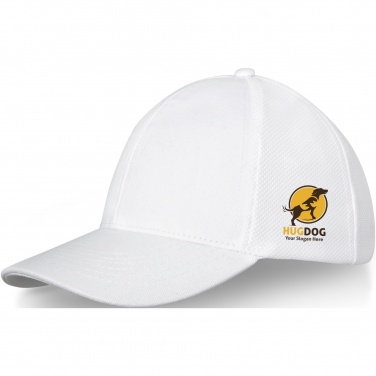 Logotrade promotional products photo of: Drake 6 panel trucker cap