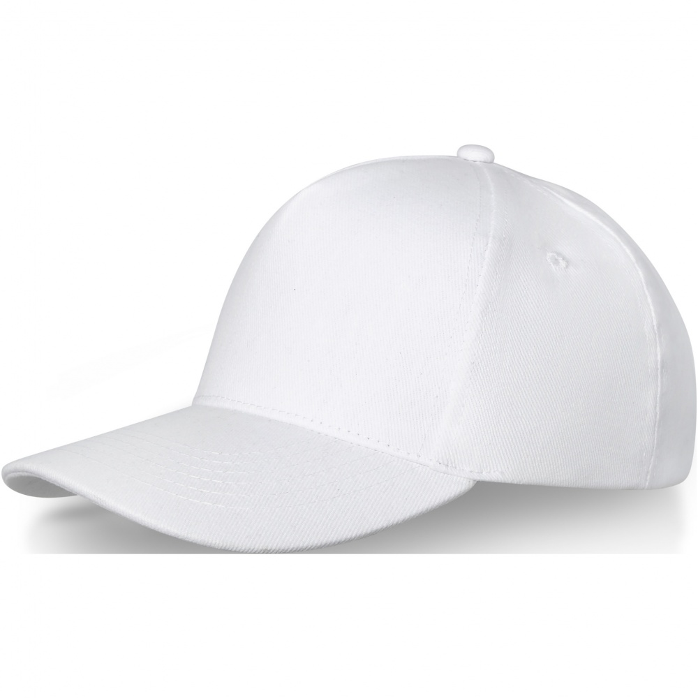Logo trade promotional gifts image of: Doyle 5 panel cap