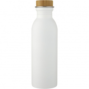Logo trade corporate gifts image of: Kalix 650 ml stainless steel water bottle