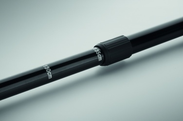 Logotrade promotional merchandise picture of: Nordic walking poles