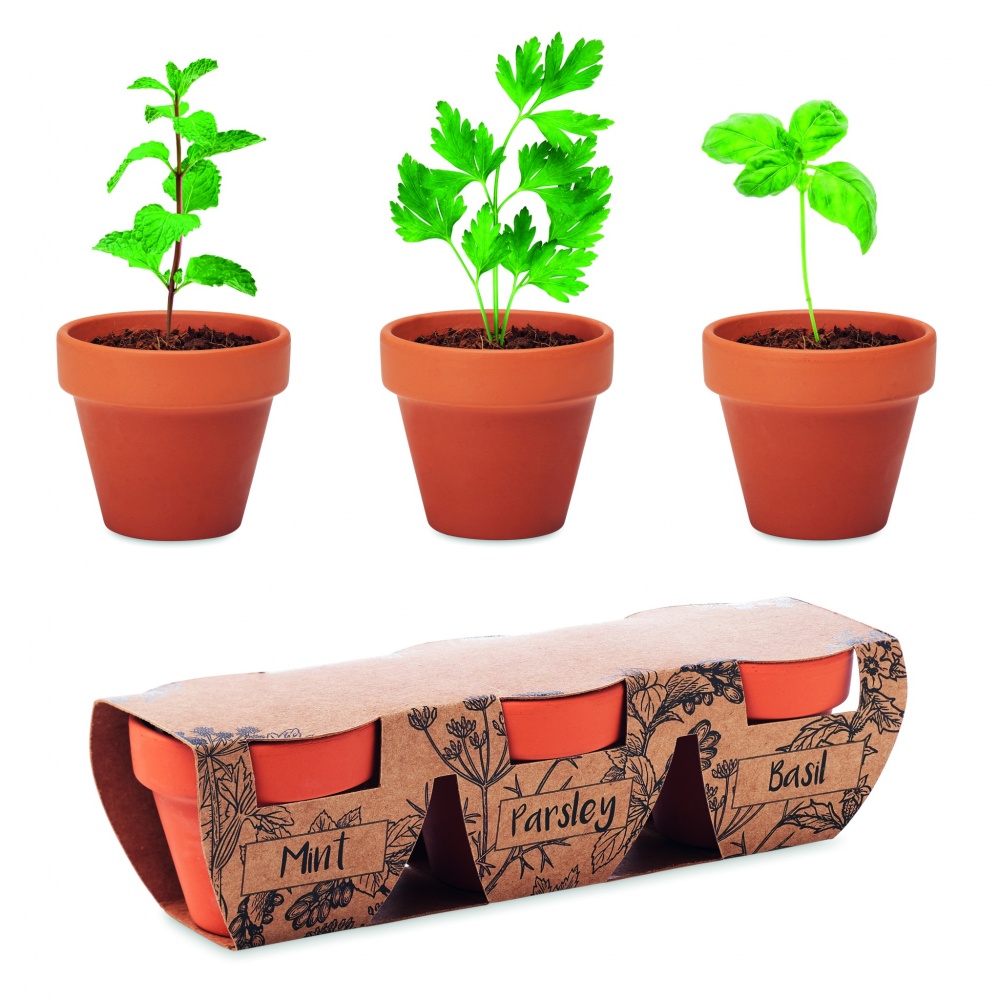 Logo trade promotional items image of: Terracotta 3 herb pot set