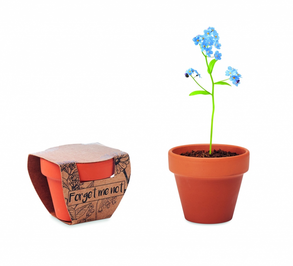 Logotrade promotional merchandise photo of: Terracotta pot 'forget me not'