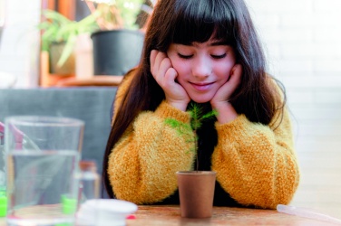 Logo trade advertising products picture of: Pine tree set