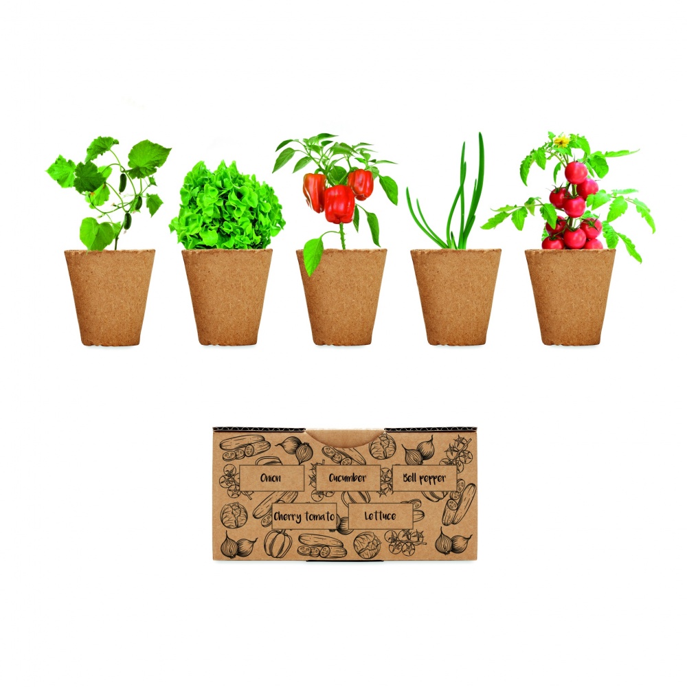 Logotrade advertising product picture of: Salad growing kit