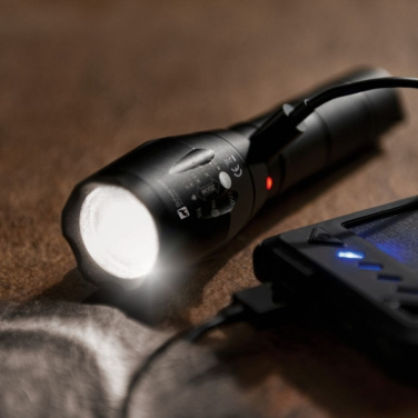 Logotrade advertising product image of: Flashlight DELGADA Schwarzwolf