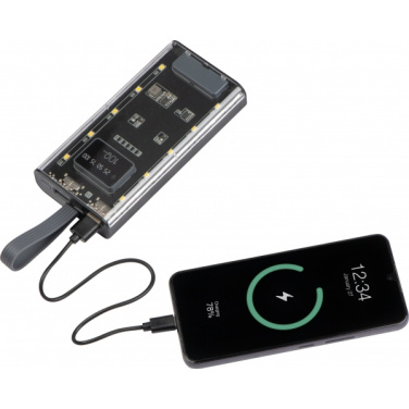 Logo trade advertising product photo of: Power bank 10 000 mAh DARWIN