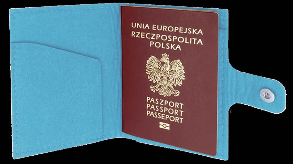 Logo trade promotional items picture of: Passport case 84106200