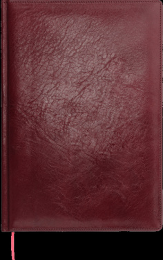 Logo trade promotional gifts image of: Calendar 645131