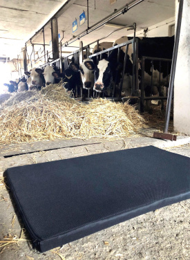 Logotrade advertising products photo of: Disinfection mat 100x60x3cm 1372087