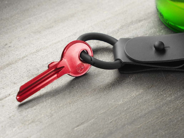 Logotrade advertising product picture of: Keyring 1709094