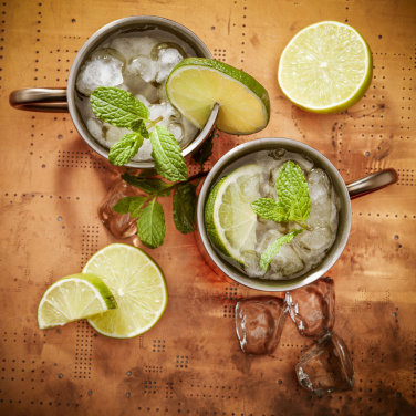 Logotrade promotional item image of: IsoMug 300 ml