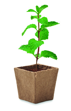 Logo trade promotional merchandise picture of: Mint seeds growing kit