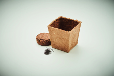 Logotrade promotional merchandise picture of: Mint seeds growing kit