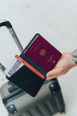 Logo trade promotional merchandise picture of: Trackmate RCS rpolyester passport holder worldwide locating