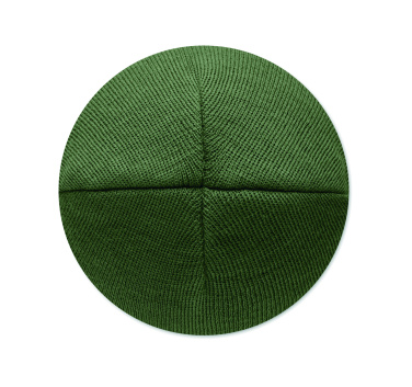 Logotrade promotional merchandise picture of: Unisex beanie RPET polyester
