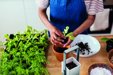 Logotrade promotional item picture of: Indoor garden with LED light