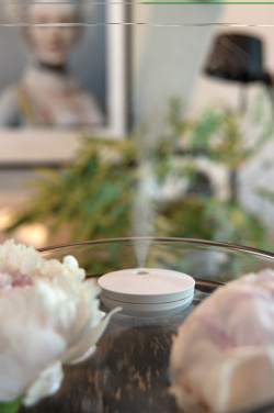 Logo trade promotional merchandise photo of: Breevia RCS rplasic re-chargeable floating humidifier