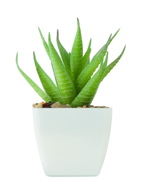 Logotrade promotional product picture of: Mini artificial plant