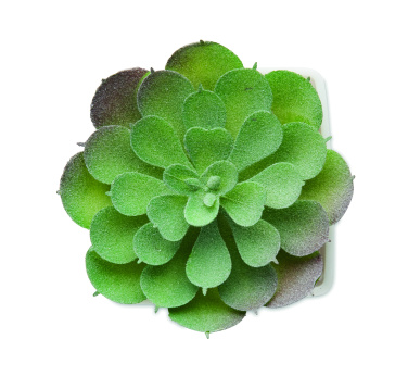 Logo trade promotional giveaway photo of: Mini artificial plant