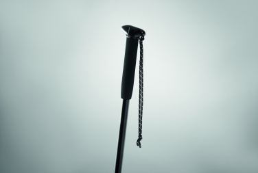 Logotrade promotional giveaway picture of: Telescopic walking pole