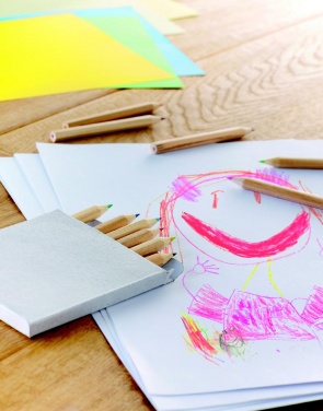 Logo trade reklaamkingid foto: 12 värvilise pliiatsi komplekti