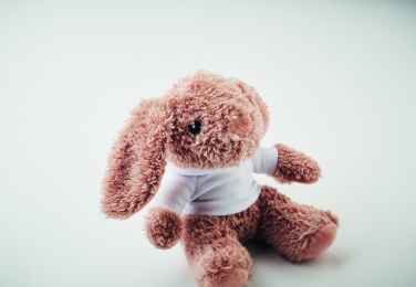 Logotrade reklaamkingid pilt: Mängujänes kapuutsiga pluusiga