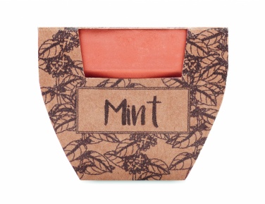 Logotrade firmakingitused pilt: Terrakota potti piparmündiseemned