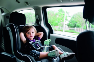 Logotrade ärikingi foto: Tritani pudel 450 ml