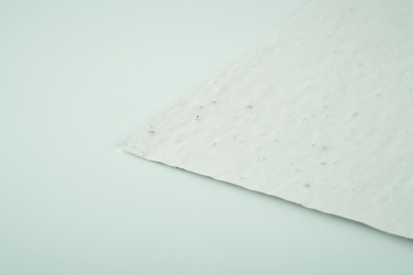 Logo trade firmakingi pilt: A6 metsalilleseemne paberileht