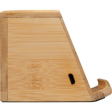 Logotrade firmakingituse foto: Induktsioonkõlar NÜREMBERG