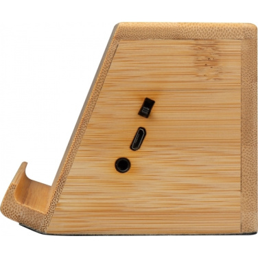 Logotrade ärikingituse foto: Induktsioonkõlar NÜREMBERG