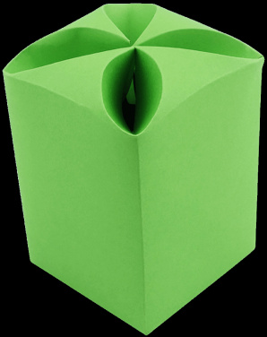 Logotrade firmakingid pilt: Karp (14,5x7,5x7,5cm) 577037