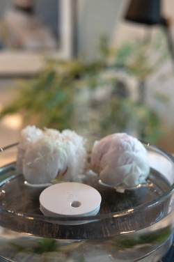 Logotrade reklaamkingi foto: Breevia RCS plastikust laetav ujuv õhuniisutaja