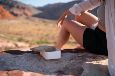 Logotrade ärikingi foto: RCS lõunakarp bambusest kaanega