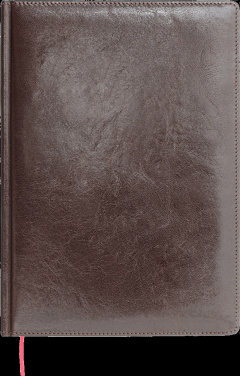 Logo trade liikelahjat tuotekuva: Kalenteri 642131