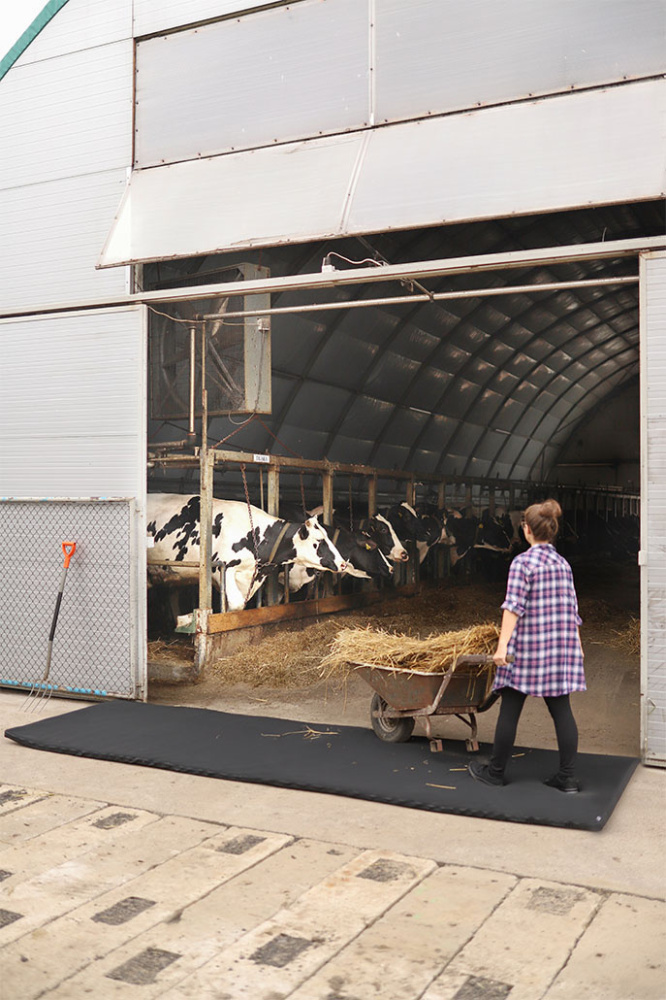 Лого трейд бизнес-подарки фото: Перекрёстный дезинфицирующий коврик 120x500x4cm 1366087