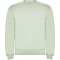 Clasica unisex tröja med rund hals, Mist Green